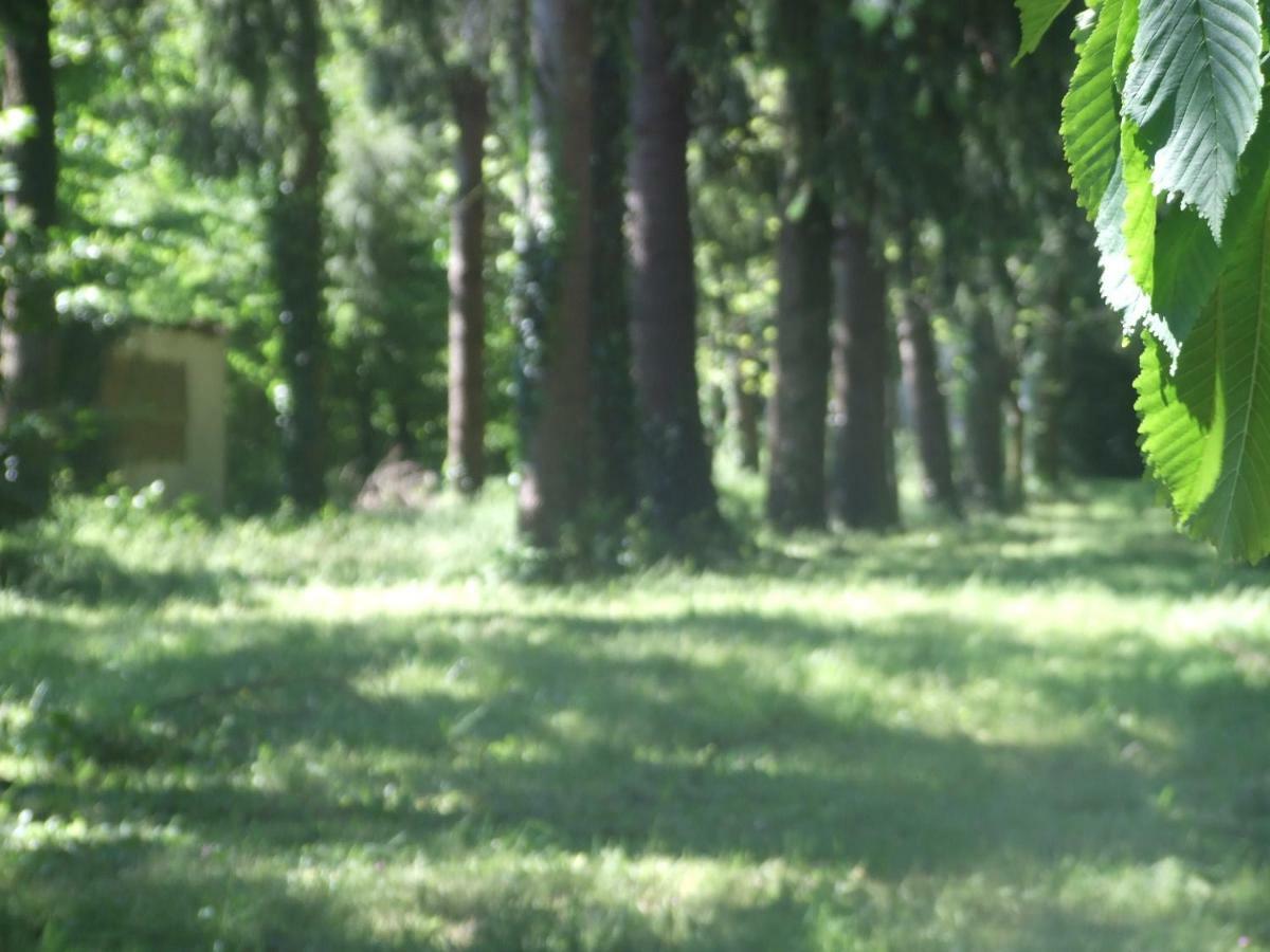 L'Auberge De La Foret Mervent Dış mekan fotoğraf